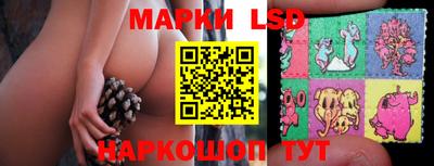 тгк Коммунар