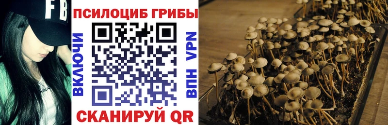 купить наркотики цена  Мыски  Псилоцибиновые грибы мухоморы 