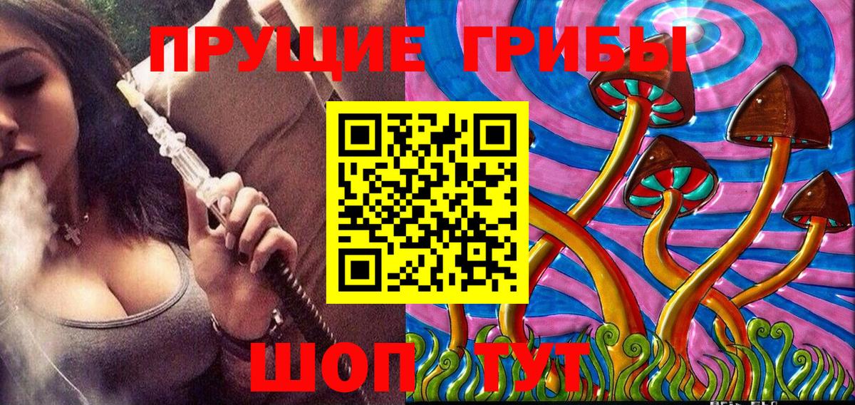 Галлюциногенные грибы GOLDEN TEACHER Мыски